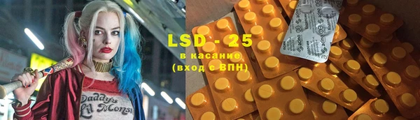 ГАЛЛЮЦИНОГЕННЫЕ ГРИБЫ Балахна