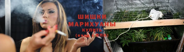 ГАЛЛЮЦИНОГЕННЫЕ ГРИБЫ Балахна