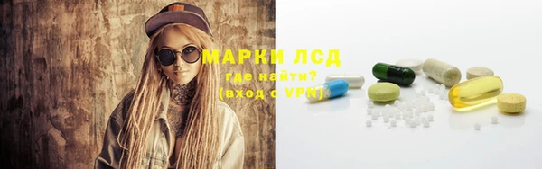 ГАЛЛЮЦИНОГЕННЫЕ ГРИБЫ Балахна