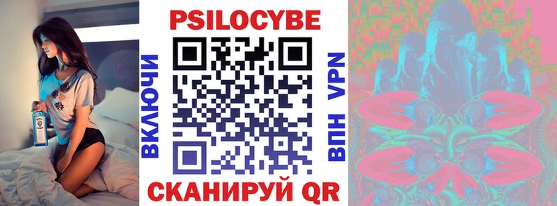 купить   Протвино  Галлюциногенные грибы Psilocybe 